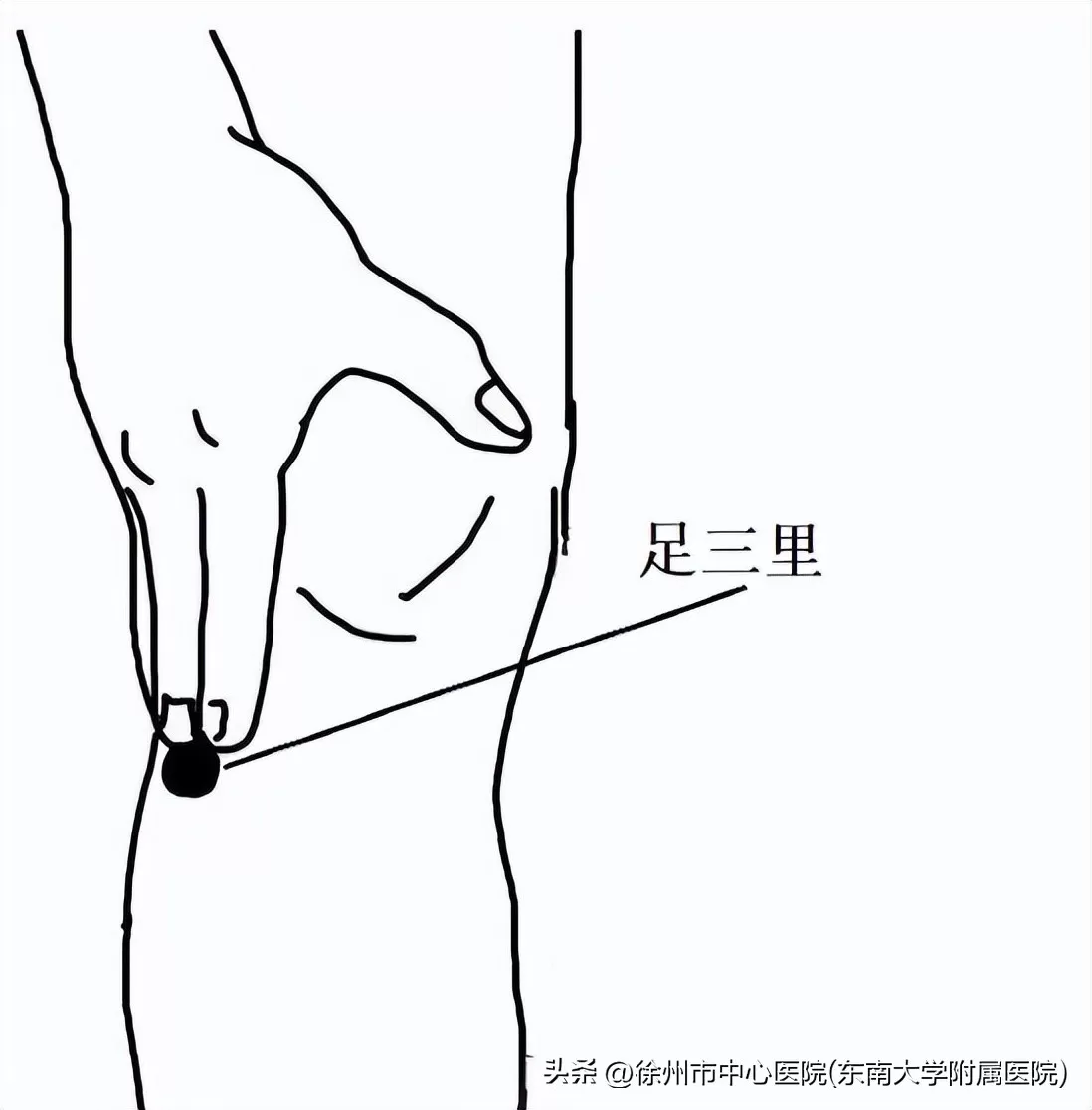 夏秋之交养生指南：融合中医智慧与 “三减三健”，筑牢换季健康防线插图2