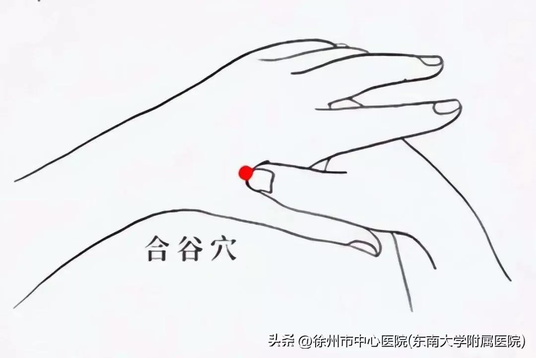 夏秋之交养生指南：融合中医智慧与 “三减三健”，筑牢换季健康防线插图1