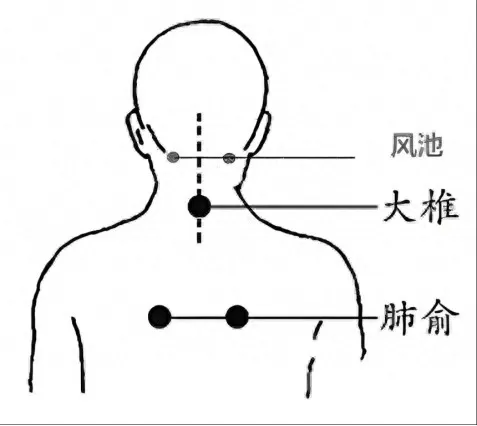 入伏了!中医专家教你“伏天”养生插图 入伏了!中医专家教你“伏天”养生插图