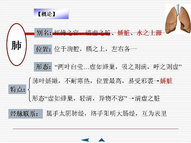中医基础理论大全，赶紧收藏吧！插图35