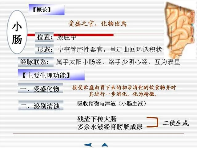 中医基础理论大全，赶紧收藏吧！插图49