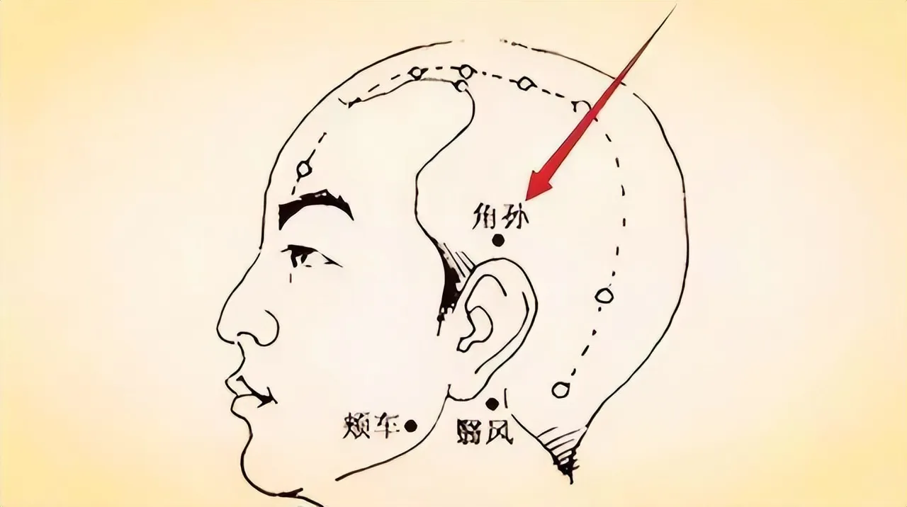 中医穴位养生全攻略：常见穴位解析与综合养生指南插图7