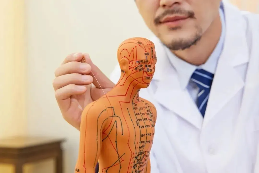 揭秘 “神奇铁三角”：足三里、合谷、太冲穴位按摩的健康奥秘插图5