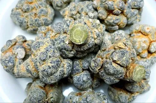 中药使用全攻略：常见药材的功效、禁忌与注意事项插图5