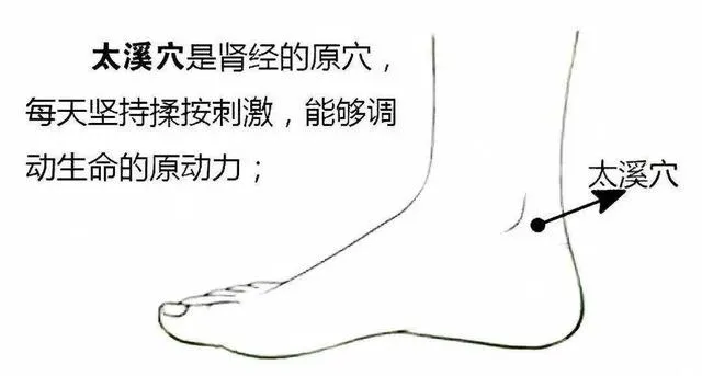 必知！9 个常用穴位养生指南，经络气血调和就靠它插图1