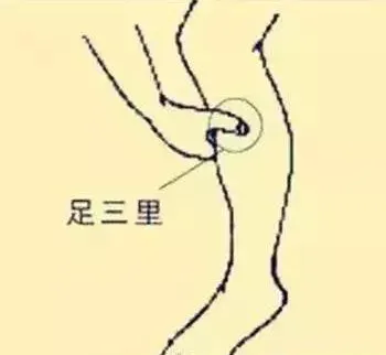 必知穴位图解及详细功效作用大揭秘！从太阳穴到照海穴一文全掌握插图18