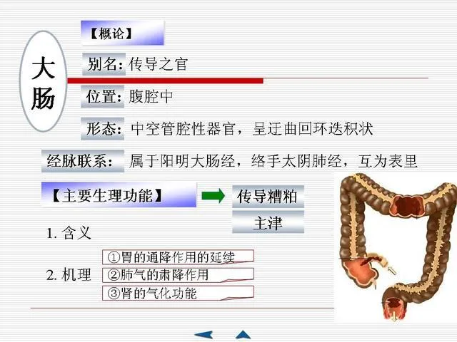 中医基础理论大全，赶紧收藏吧！插图50