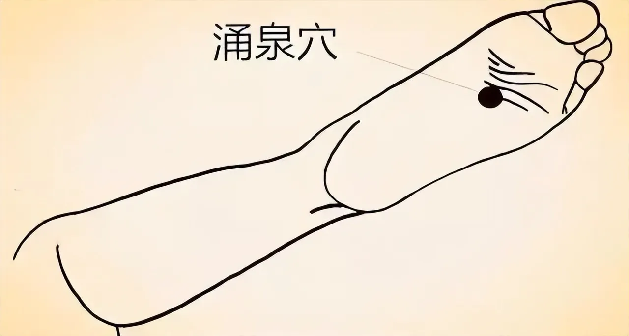 中医穴位养生全攻略：常见穴位解析与综合养生指南插图1