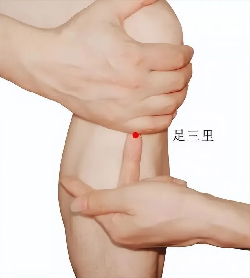 必知！人体八大关键穴位，开启中医养生保健密码插图1