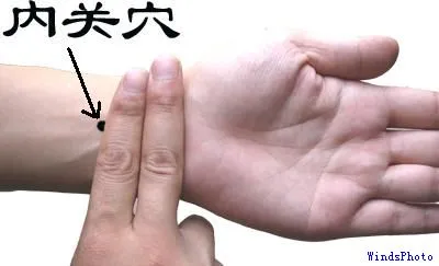 一文读懂人体最重要 12 大穴位,养生保健全攻略!插图3 一文读懂人体最重要 12 大穴位,养生保健全攻略!插图3