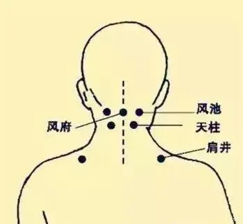 必知穴位图解及详细功效作用大揭秘！从太阳穴到照海穴一文全掌握插图5