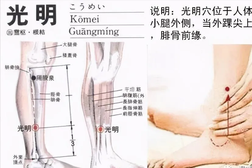 30 个超级有效穴位大集合：病症对应、取穴方法与按摩诀窍全知晓！插图20