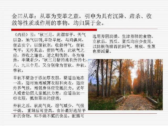 中医基础理论大全，赶紧收藏吧！插图21