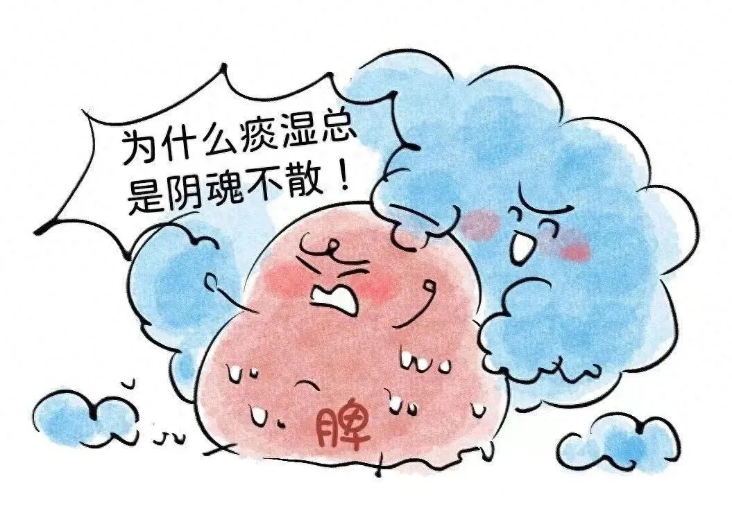 中医解读：痰湿蕴肺致脱发，祛湿健脾重拾浓密乌发 —— 陆先生的脱发康复案例插图