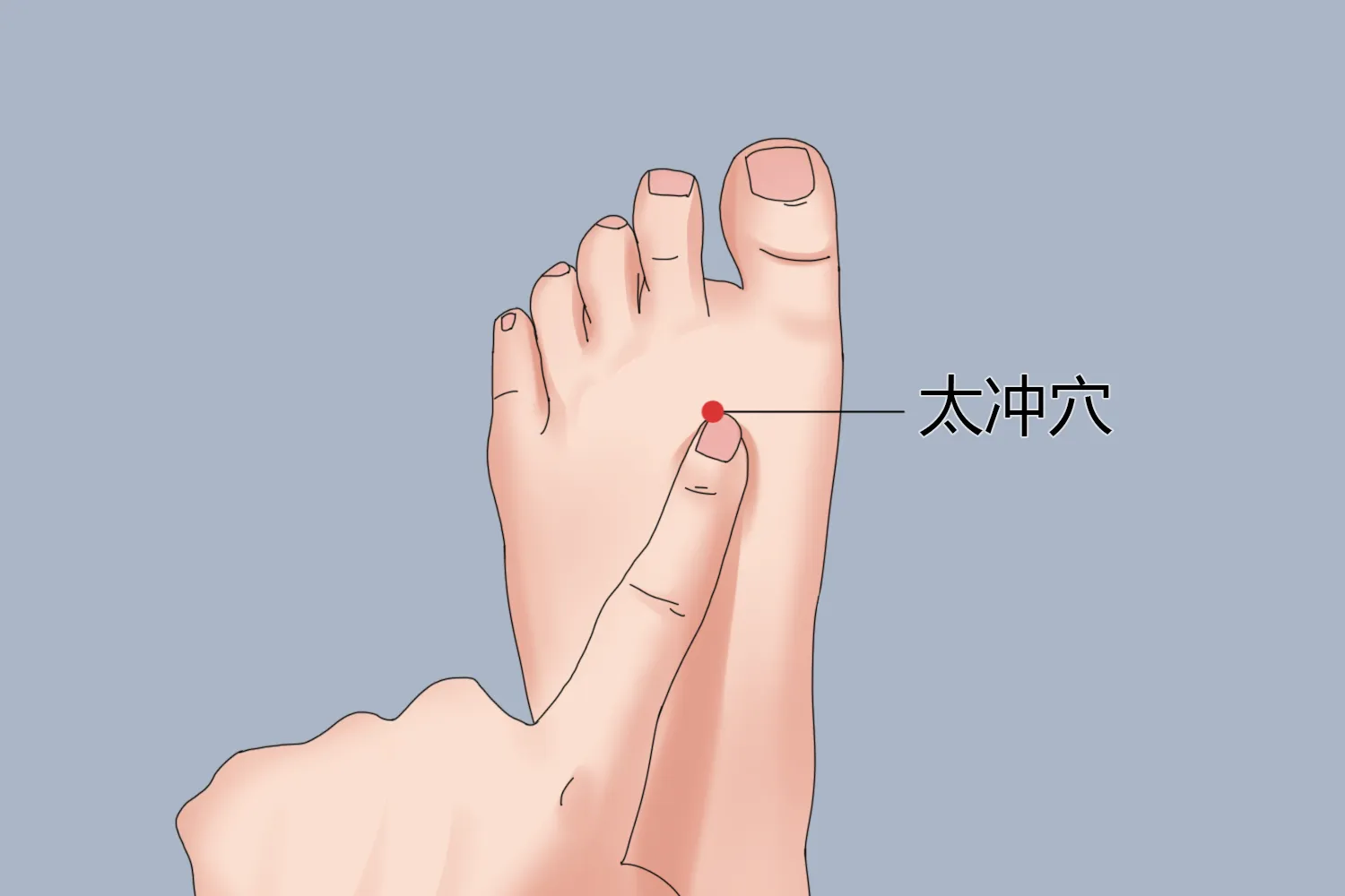 必知！人体十大关键穴位，守护健康的秘密武器插图9