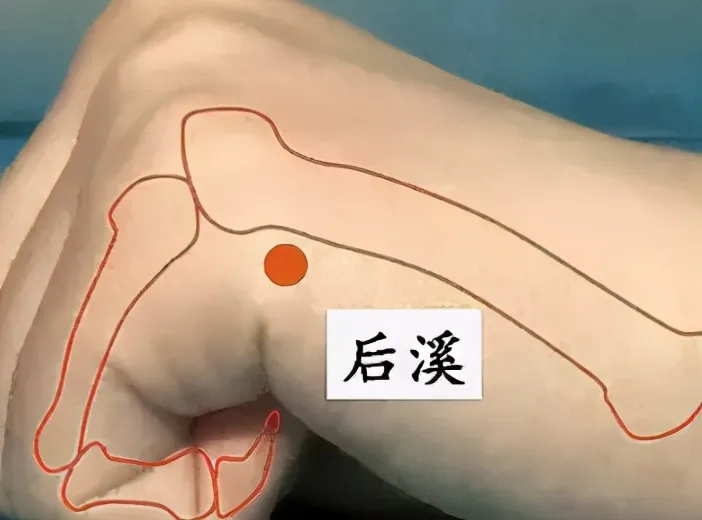 30 个超级有效穴位大集合：病症对应、取穴方法与按摩诀窍全知晓！插图23