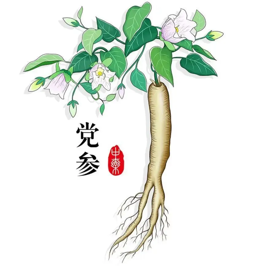 肾虚脱发：从理论到医案，解锁补肾养血生发之道插图2