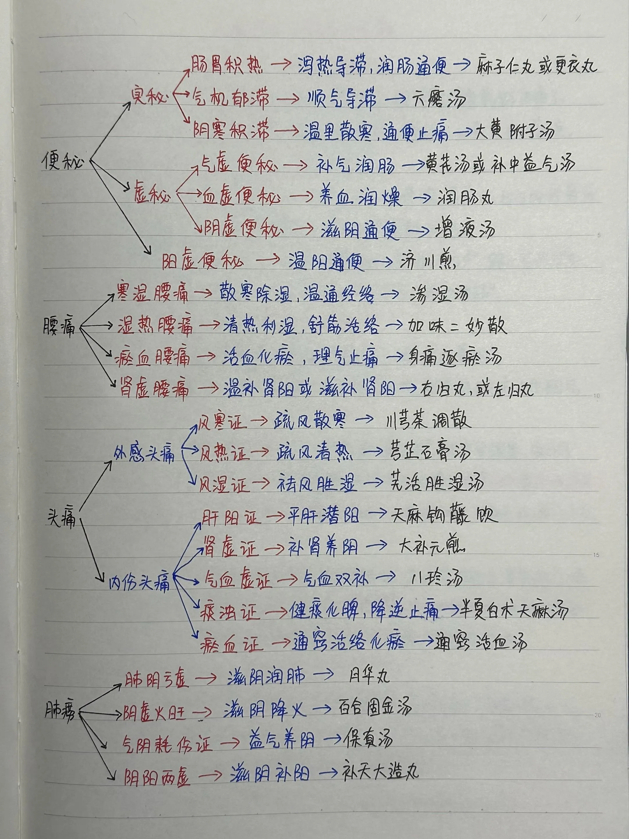 老中医珍藏手写笔记大公开！涵盖便秘、腰痛等多类病症辨证治法插图