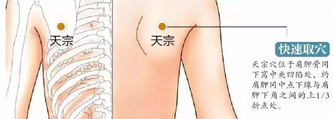 30 个超级有效穴位大集合：病症对应、取穴方法与按摩诀窍全知晓！插图7