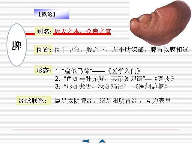 中医基础理论大全，赶紧收藏吧！插图38