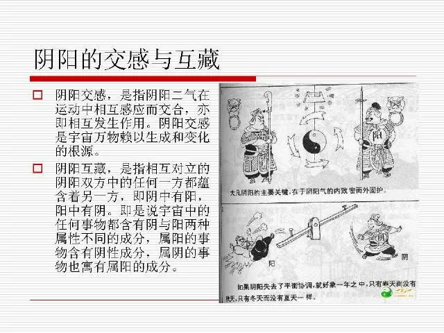 中医基础理论大全，赶紧收藏吧！插图13