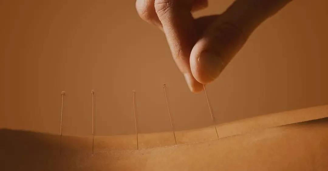 自学中医指南：避三忌、抓关键，从经典与实践中掌握切脉针灸绝学插图