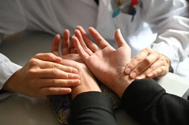 一周学会中医实用逻辑：告别 “大部头”，掌握看体质调小毛病诀窍插图