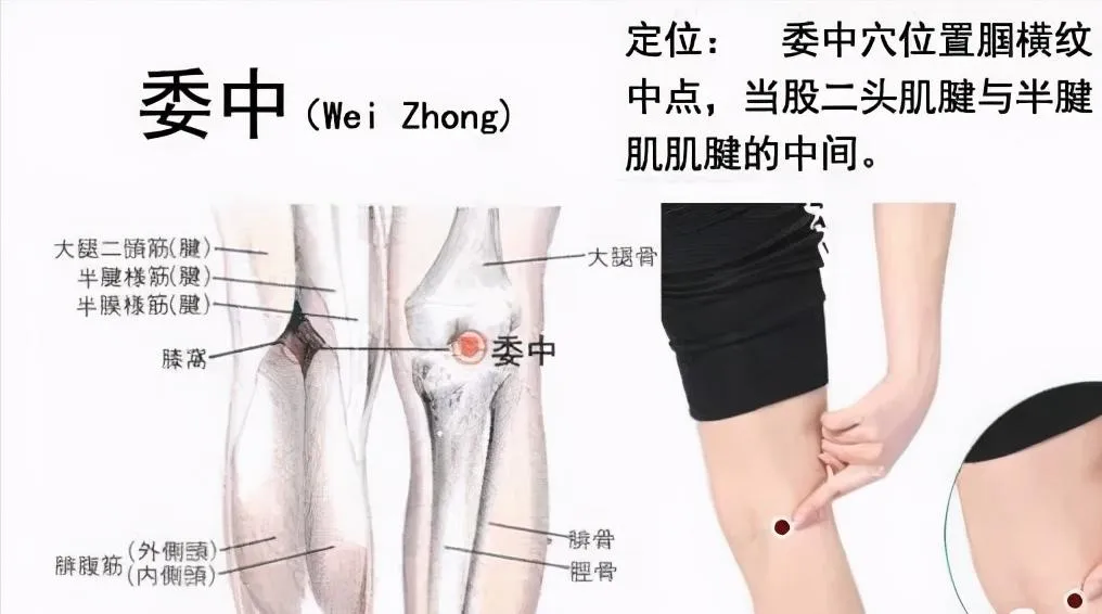 30 个超级有效穴位大集合：病症对应、取穴方法与按摩诀窍全知晓！插图21