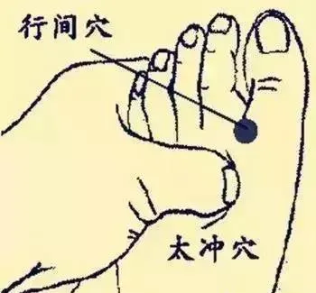 必知穴位图解及详细功效作用大揭秘！从太阳穴到照海穴一文全掌握插图20
