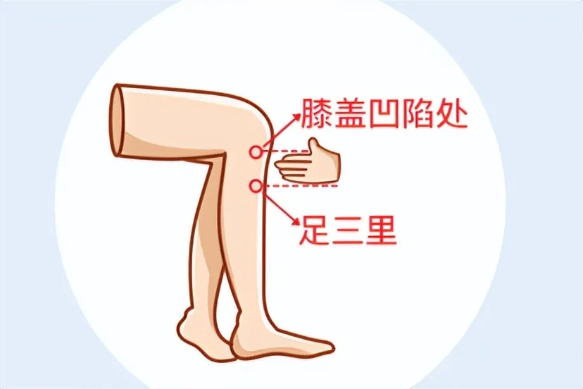 必知！人体十大关键穴位，守护健康的秘密武器插图3