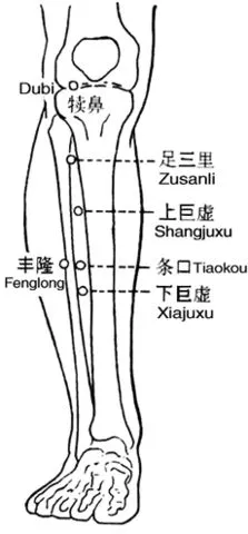 一文读懂人体最重要 12 大穴位,养生保健全攻略!插图10 一文读懂人体最重要 12 大穴位,养生保健全攻略!插图10