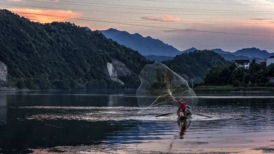 岭南春日祛湿指南:识别湿气与巧用中药食疗插图 岭南春日祛湿指南:识别湿气与巧用中药食疗插图