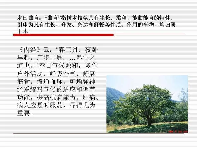 中医基础理论大全，赶紧收藏吧！插图18