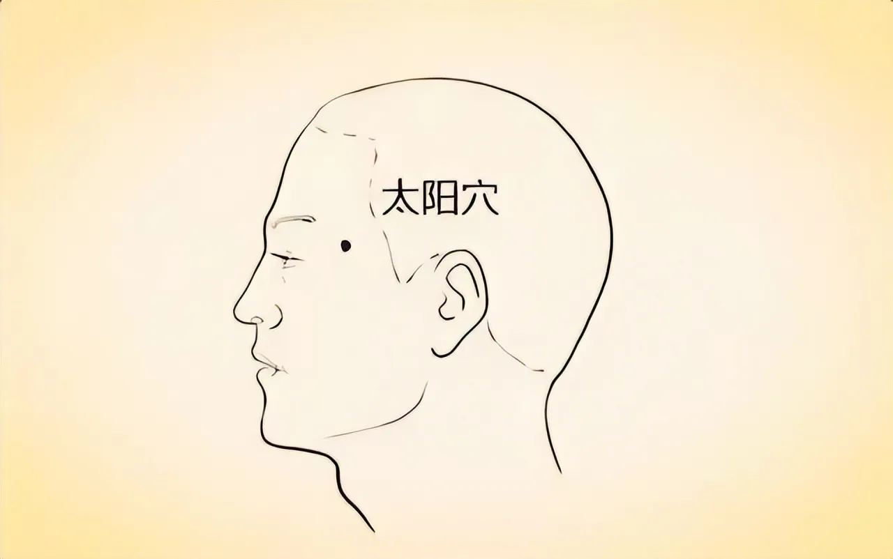 中医穴位养生全攻略：常见穴位解析与综合养生指南插图6