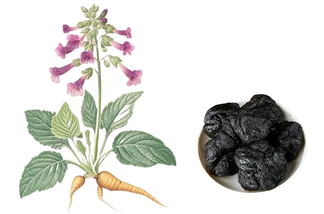 中医解读：痰湿蕴肺致脱发，祛湿健脾重拾浓密乌发 —— 陆先生的脱发康复案例插图2