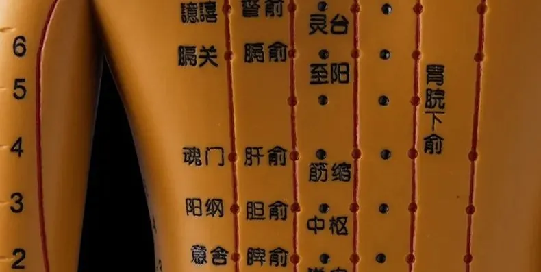 自学中医指南：避三忌、抓关键，从经典与实践中掌握切脉针灸绝学插图2