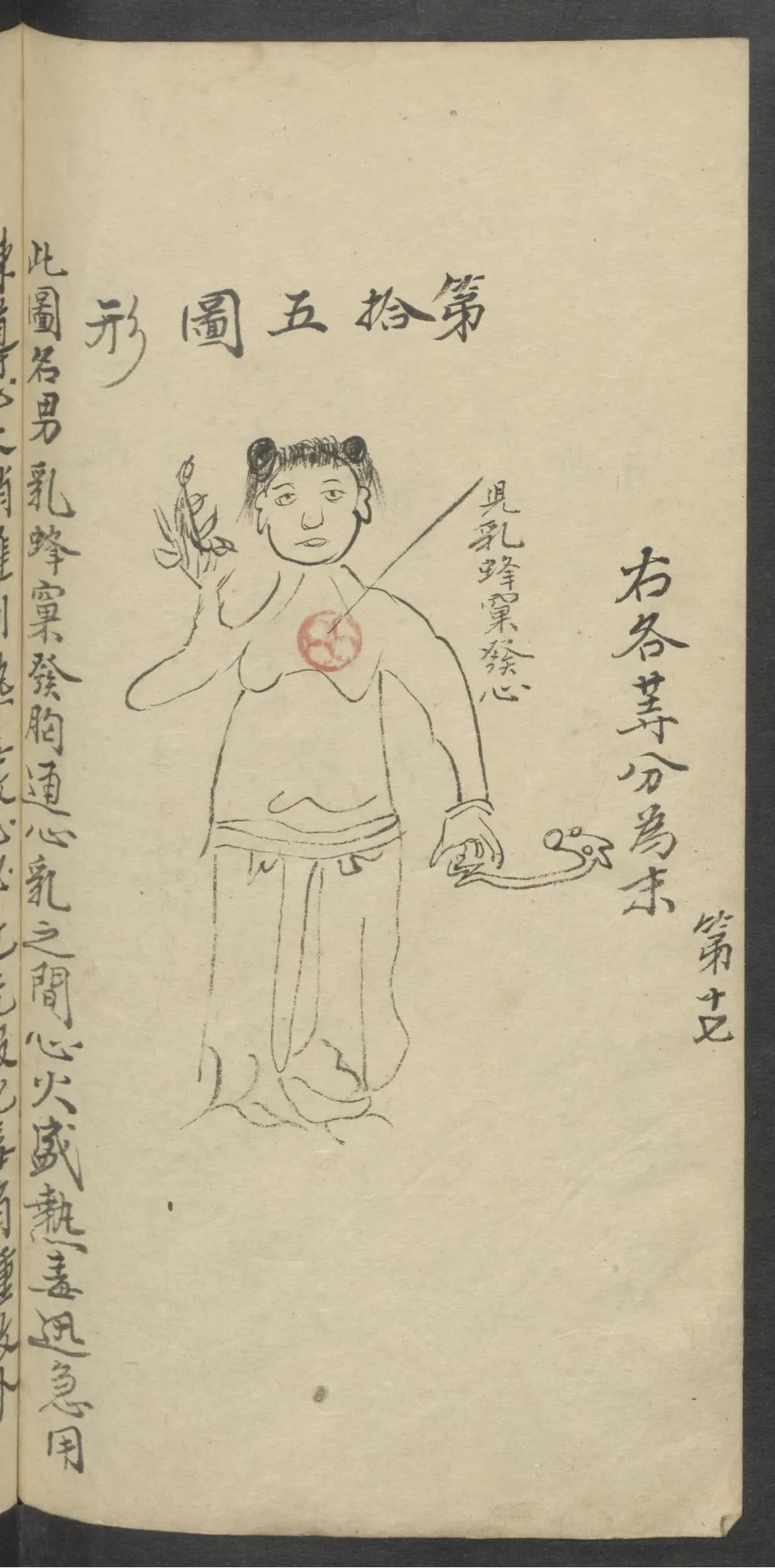 珍藏中医古籍：《医林精粹》插图16