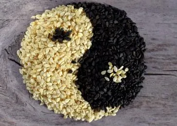 阳虚脱发：症状、医案与调理之道，让头发重焕生机插图