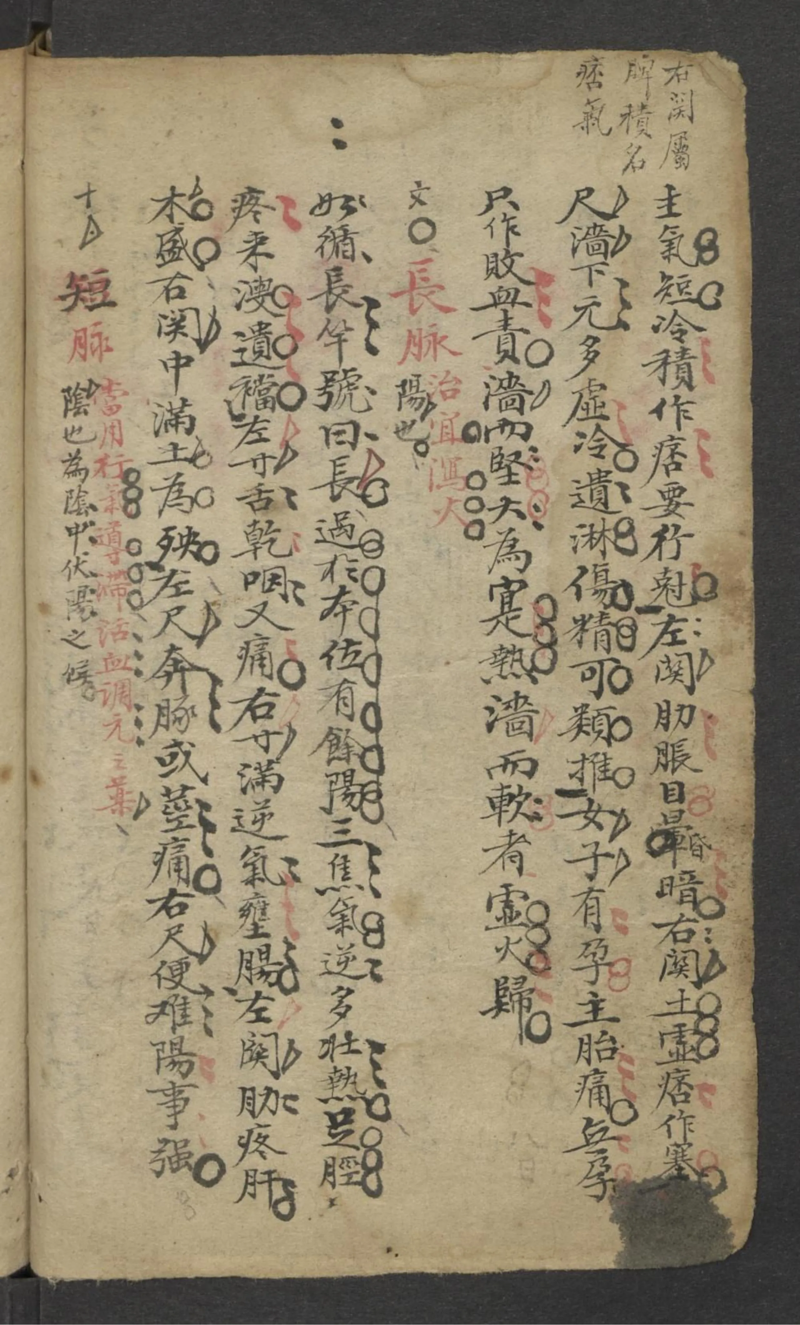 中医古籍分享：《 [脈藥]手抄本 》插图6