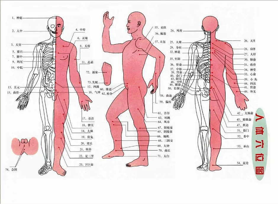 中医穴位养生全攻略：常见穴位解析与综合养生指南插图