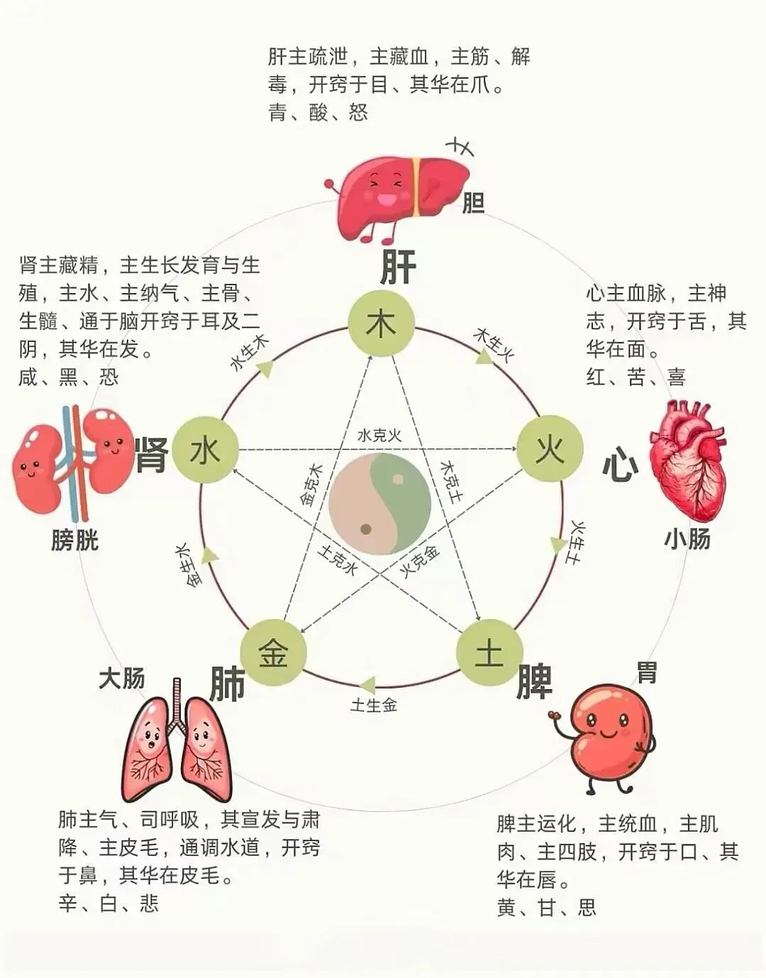 国医大师裘沛然脱发妙方：滋养肾精，重焕乌发光彩插图1