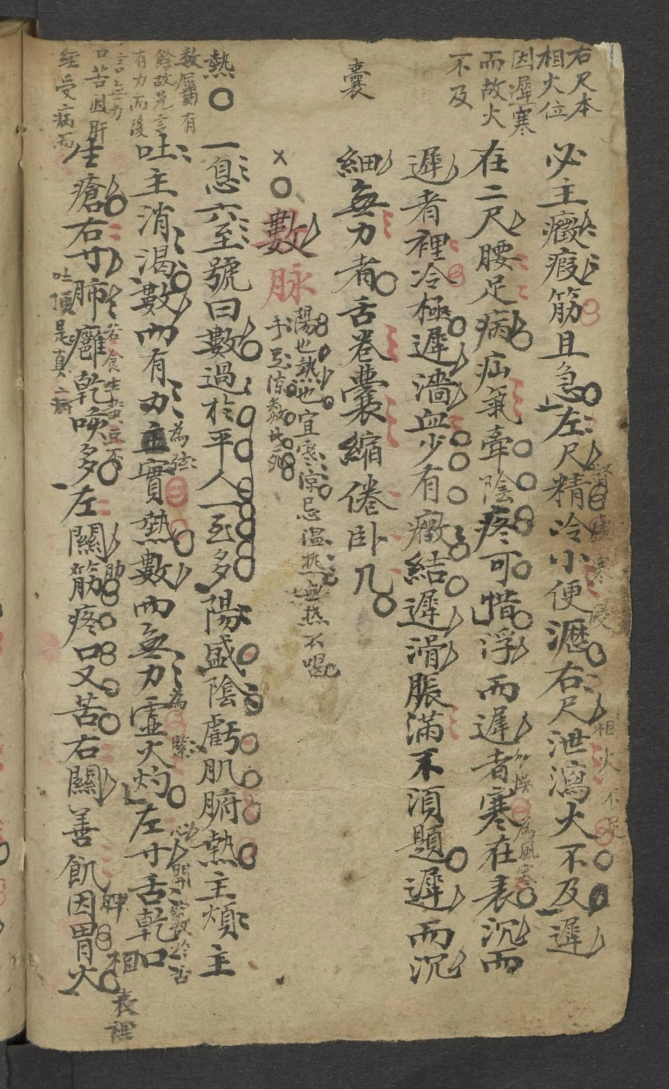 中医古籍分享：《 [脈藥]手抄本 》插图2