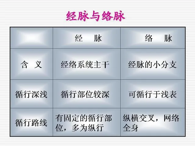 中医基础理论大全，赶紧收藏吧！插图55