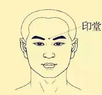 必知穴位图解及详细功效作用大揭秘！从太阳穴到照海穴一文全掌握插图2