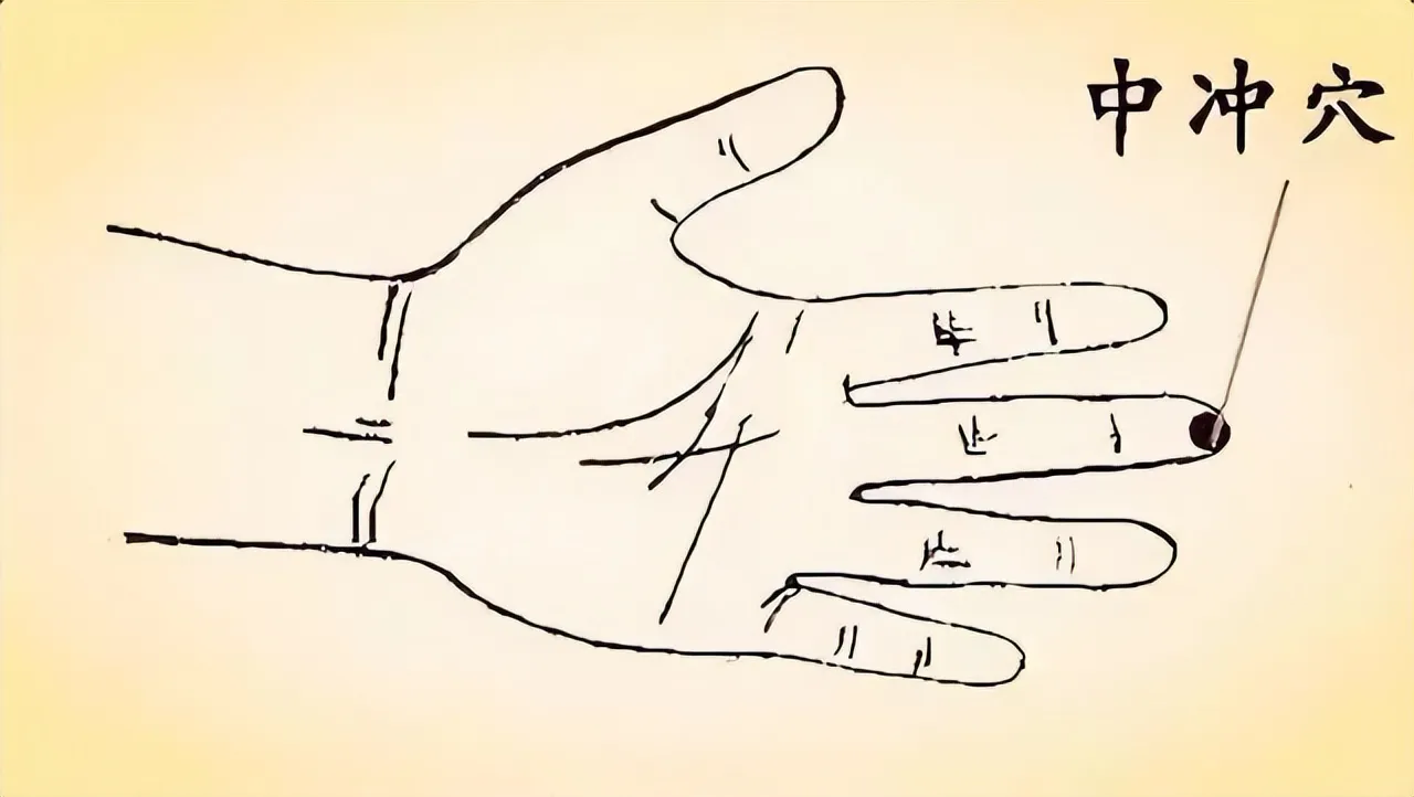 中医穴位养生全攻略：常见穴位解析与综合养生指南插图4