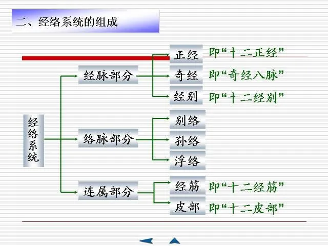 中医基础理论大全，赶紧收藏吧！插图56