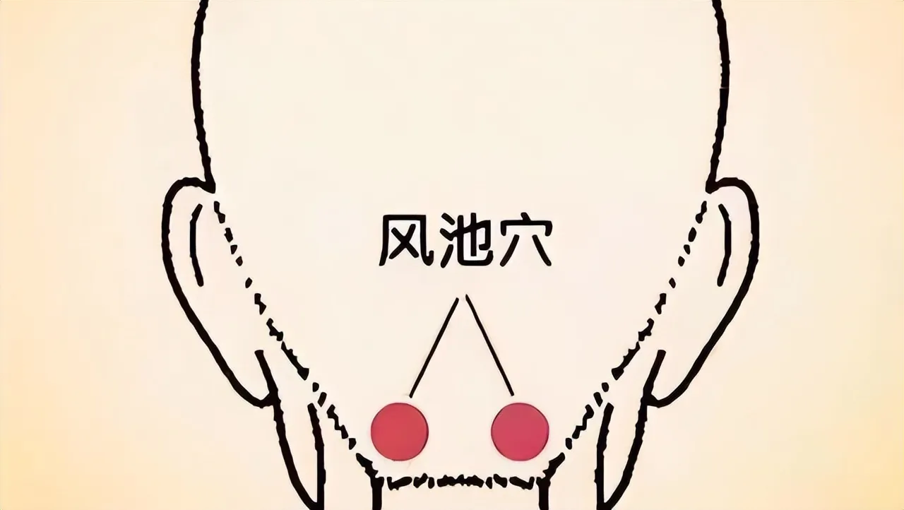 中医穴位养生全攻略：常见穴位解析与综合养生指南插图2