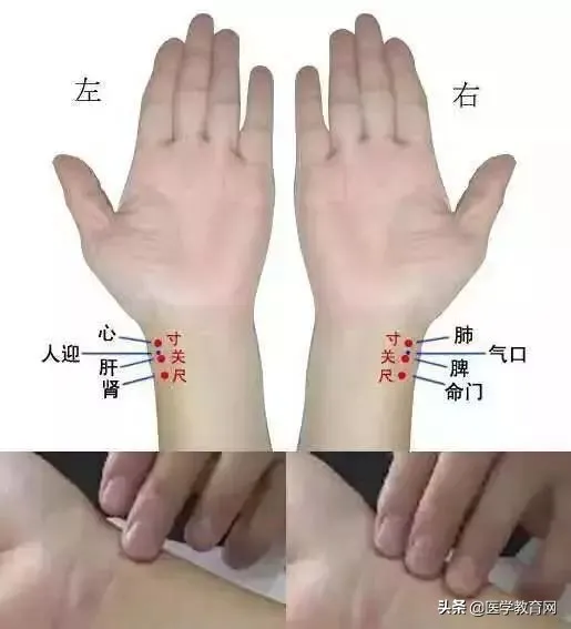 中医把脉大揭秘：手腕轻按知病症，5 大要素全解析！插图