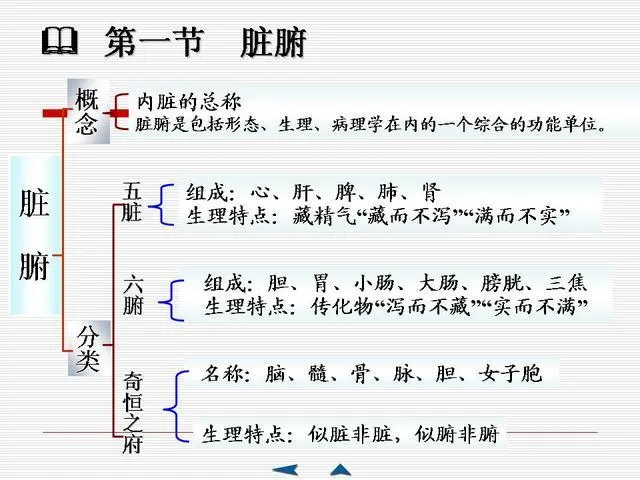 中医基础理论大全，赶紧收藏吧！插图32
