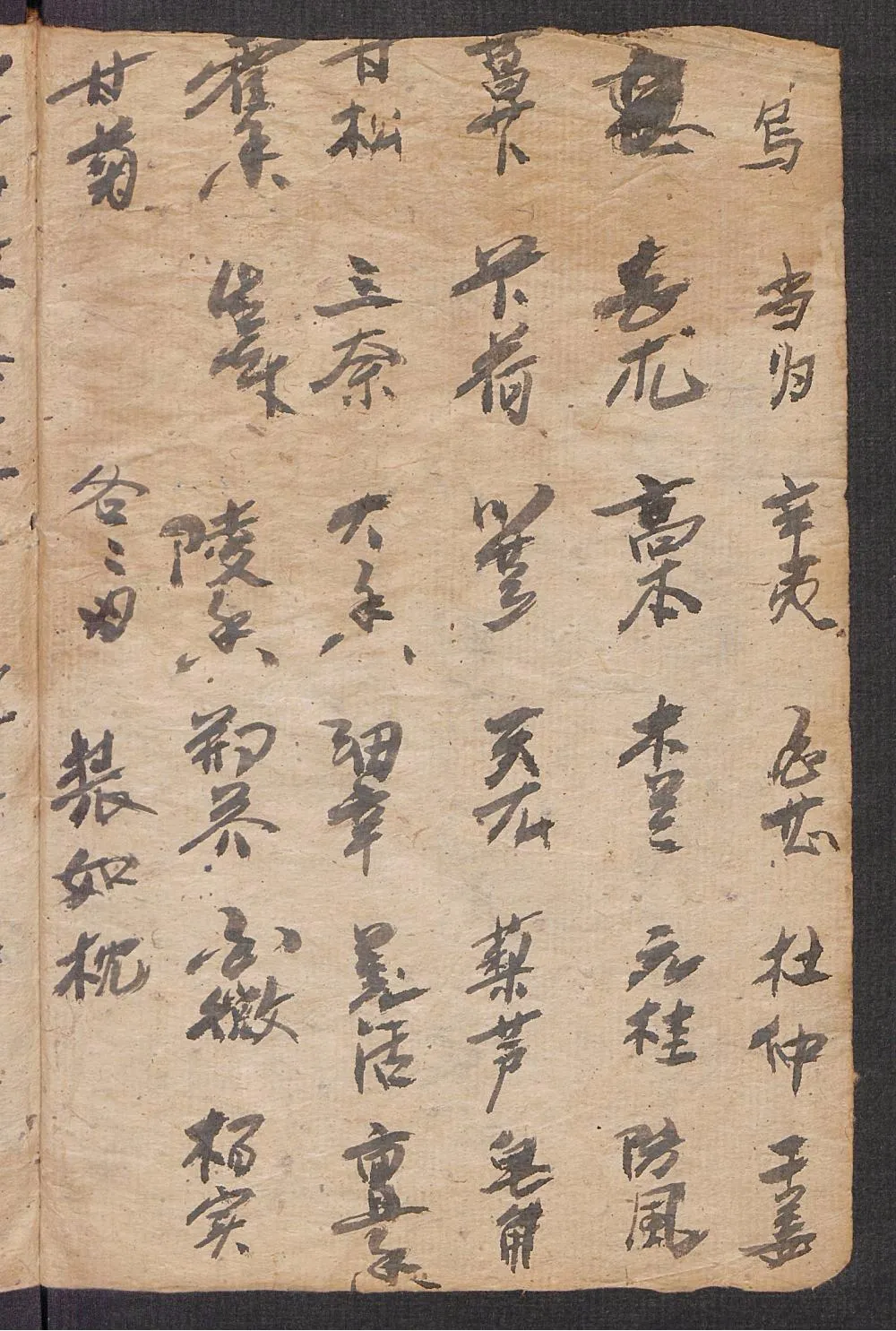 珍藏手抄中医古籍：《经验方》插图6